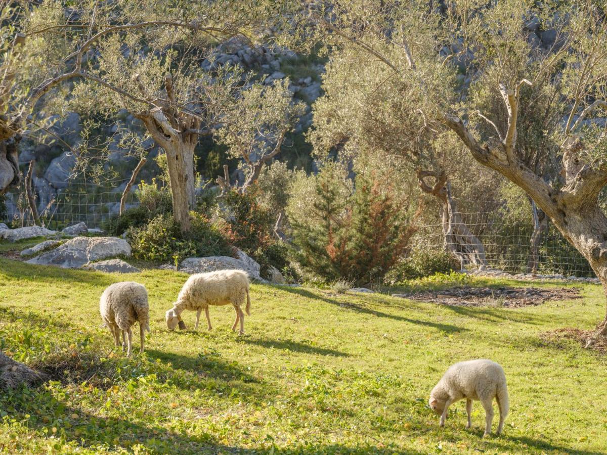 Agroturismo Muleta De Ca S'Hereu Puerto de Sóller Exteriér fotografie