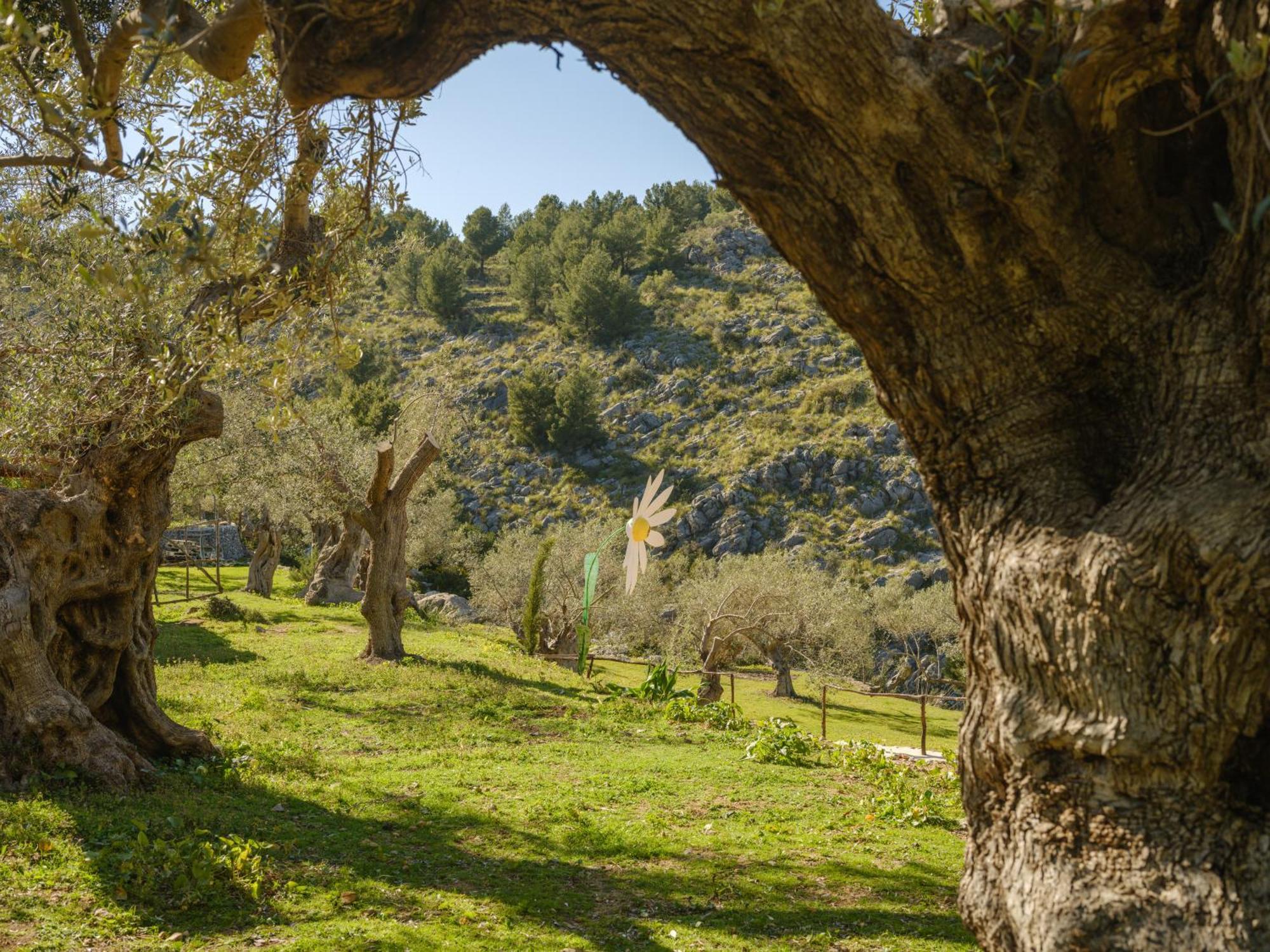 Agroturismo Muleta De Ca S'Hereu Puerto de Sóller Exteriér fotografie
